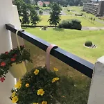 Bee Apartment *
