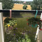 Bee * De Haan
